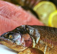 Lovedale Smokehouse Gourmet Pantry Cafe and Masterclasses - Sunshine Coast Guide