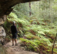 Dharug National Park