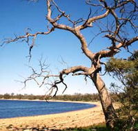 Lake Indoon - Sunshine Coast Guide