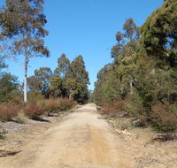 Werakata National Park - Sunshine Coast Guide