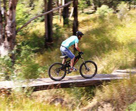 The Steps Mountain Bike Park - Sunshine Coast Guide 0