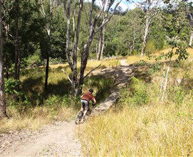 The Steps Mountain Bike Park - Sunshine Coast Guide 2