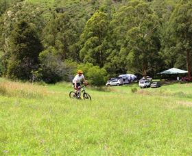The Steps Mountain Bike Park - Sunshine Coast Guide 1
