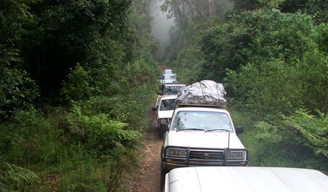 Carrai National Park - Sunshine Coast Guide 3