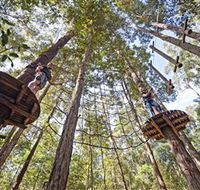 TreeTop Adventure Park Central Coast - Sunshine Coast Guide