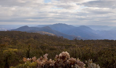 Budawang National Park - Sunshine Coast Guide 1