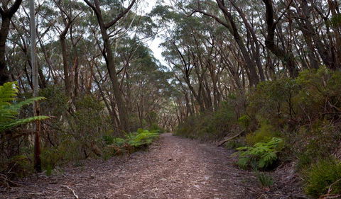 Budawang National Park - Sunshine Coast Guide 0