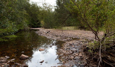 Budawang National Park - Sunshine Coast Guide 2