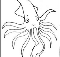 Squid Studio - Sunshine Coast Guide