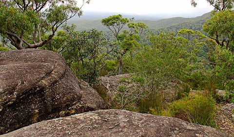 Pigeon House Mountain Didthul Walking Track - Sunshine Coast Guide 1