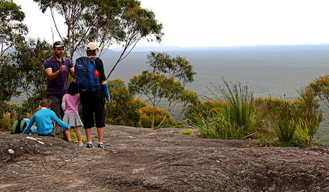 Pigeon House Mountain Didthul Walking Track - Sunshine Coast Guide 2