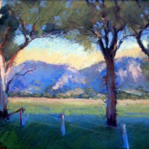 Galleries In The Gardens - Sunshine Coast Guide 4