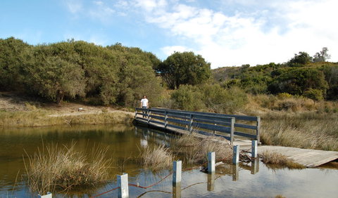 Wallarah National Park - Sunshine Coast Guide 1