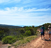 Moonee Beach trail - Sunshine Coast Guide