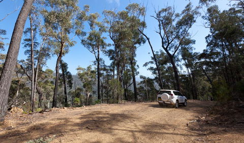 Wadbilliga Road Drive - Sunshine Coast Guide 0