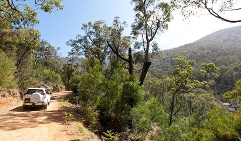 Wadbilliga Road Drive - Sunshine Coast Guide 1