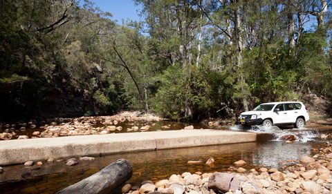 Wadbilliga Road Drive - Sunshine Coast Guide 2