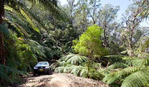 Wadbilliga Road Drive - Sunshine Coast Guide 3