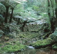 The Corn Trail Walk - Sunshine Coast Guide