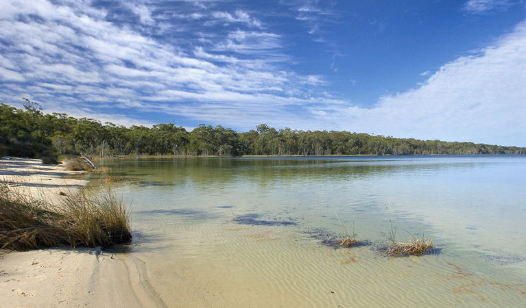  Sunshine Coast Guide