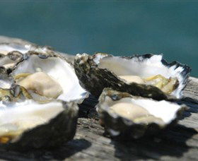 Jim Wilds Oyster Service - Sunshine Coast Guide 0