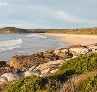 Burrawang track - Conjola Beach to Buckleys Point - Sunshine Coast Guide
