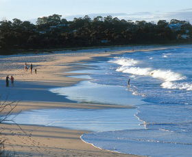 Mollymook Beach - Sunshine Coast Guide 1