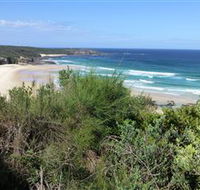 South Pacific Heathland Reserve - Sunshine Coast Guide