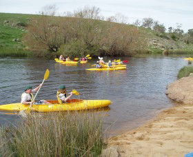 Bombala Platypus Reserve - Sunshine Coast Guide 1