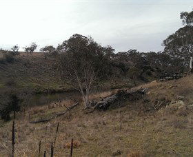 Bombala Platypus Reserve - Sunshine Coast Guide 3