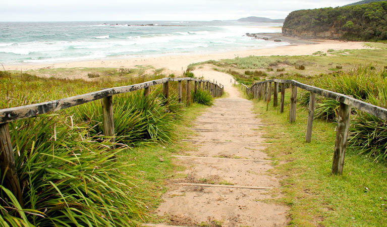 Pretty Beach NSW Sunshine Coast Guide