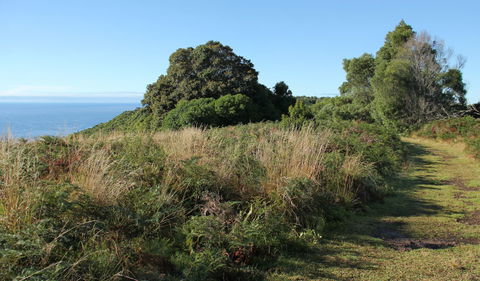 Pretty Beach To Durras Mountain Walking Track - Sunshine Coast Guide 2