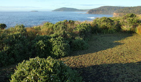 Pretty Beach To Durras Mountain Walking Track - Sunshine Coast Guide 3