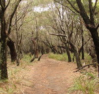 Pretty Beach to Snapper Point walking track - Sunshine Coast Guide
