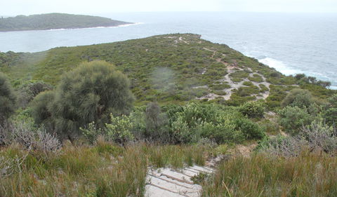 Pretty Beach To Snapper Point Walking Track - Sunshine Coast Guide 2