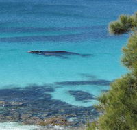 Jervis Bay Marine Park - Sunshine Coast Guide