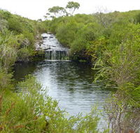 Booderee National Park Green Patch and Telegraph Creek Walking Tracks - Sunshine Coast Guide