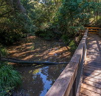 Ms Kellys walking track - Sunshine Coast Guide