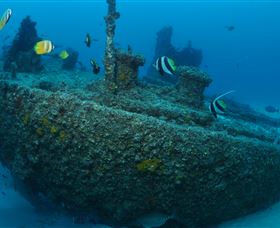 Curtain Artificial Reef Dive Site - Sunshine Coast Guide 1