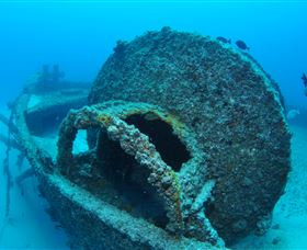 Curtain Artificial Reef Dive Site - Sunshine Coast Guide 3