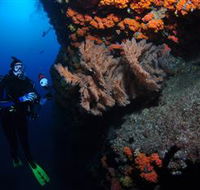 Gotham City Dive Site - Sunshine Coast Guide