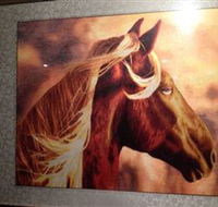 Silk Art Gallery - Sunshine Coast Guide