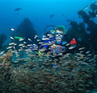 Aarhus Dive Site - Sunshine Coast Guide