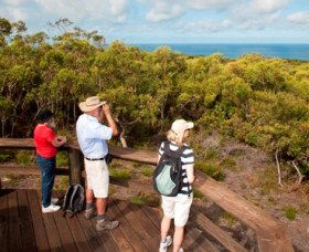 Naree Budjong Djara National Park - Sunshine Coast Guide 0