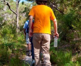 Naree Budjong Djara National Park - Sunshine Coast Guide 3