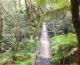 Bellbird Creek ACT Sunshine Coast Guide
