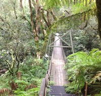 Bemm River Scenic Reserve - Sunshine Coast Guide
