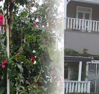 House of Gabriel - Sunshine Coast Guide