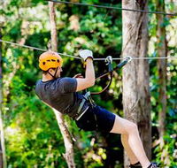 TreeTop Challenge Currumbin - Sunshine Coast Guide
