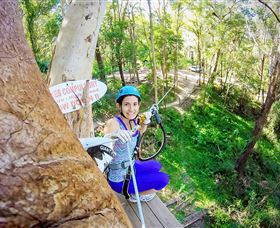 TreeTop Challenge Currumbin - Sunshine Coast Guide 3